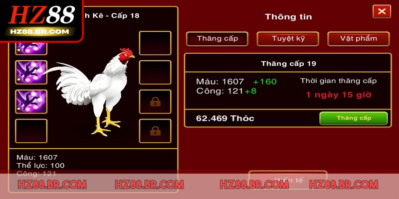 Hãy dành thời gian theo dõi phong độ thi đấu của từng chiến kê